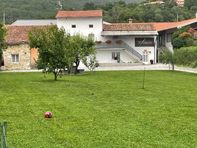 Apartamento Kmetija Tomazic Vinska Klet - Winery Vipava Exterior foto